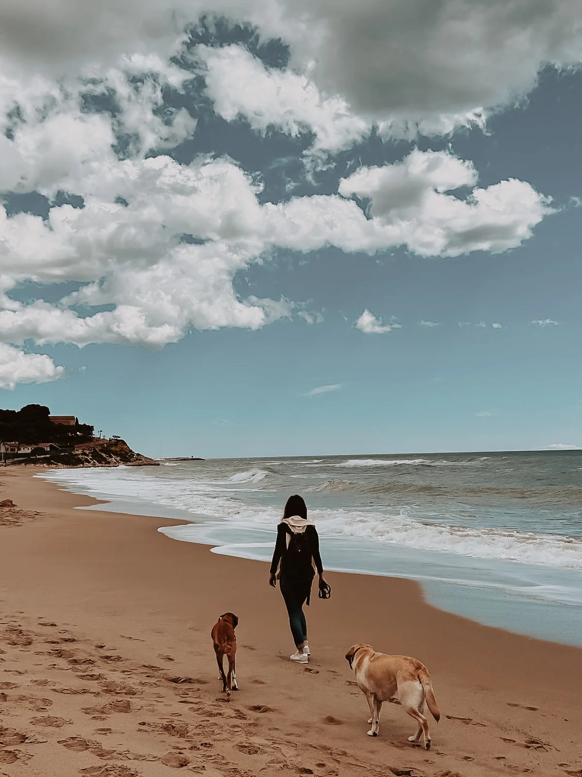 paseo_perros_playa paseo por la playa